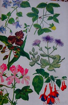 Praktická hospodynka I.-II., vydaná v roku 1927 - 7