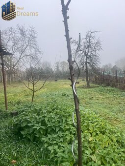 PRIESTRANNÝ 7-IZBOVÝ RODINNÝ DOM S VEĽKÝM POZEMKOM V DLHEJ N - 7