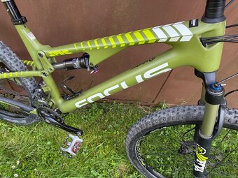 Predam Focus Spine karbon - 7