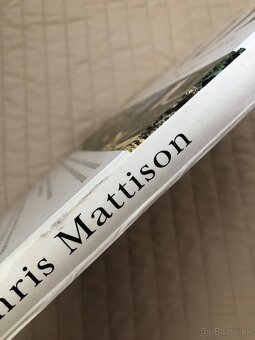 Chris Mattison: Hady - 7