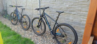 Bergamon Revox 5 - 7