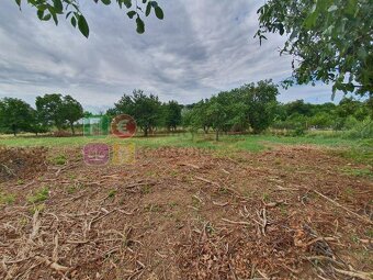 Predaj pozemky 7998 m2, Nitra- Čermáň, šírka 37m, všetky IS - 7