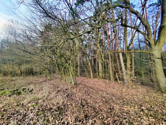 Výnimočný pozemok pod lesom, Malá Ida (Panský les), 595m2 - 7