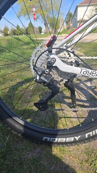 kellys tayen R50 - 7