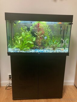 Akvarium, rybičky, rastlinky - 7