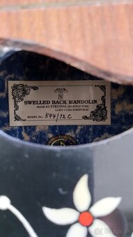 12 strunova mandolina Strunal Luby - Swelled Back Mandolin - 7