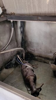 Profesionalne cistenie DPF/FAP/KAT - 7
