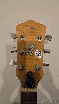 Elektricke gitara / basgitara - 7