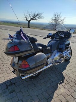 Goldwing - 7
