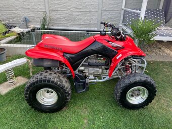 Honda TRX 250 - 7