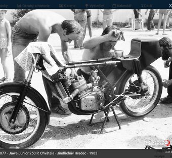 Jawa Junior ,Jawa 250,350 - 7