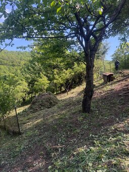 Zahradné Práce - Montaž 2D/3D/Pletivo, Travnik, Orez - 7
