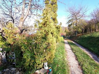 Predaj - záhrada s rozostavanou tehlovou chatou na okraji St - 7