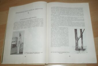 Štepenie, očkovanie a preštepovanie drevín - 7