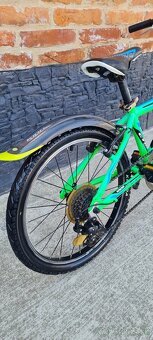 Bicykel Ctm 20" green - 7
