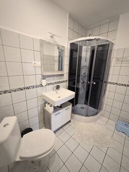 Krátkodobé ubytovanie pri služobných cestách - 7
