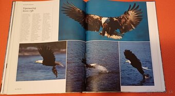Morský breh-prírodovedná publikácia,Larousse,100% stav% - 7