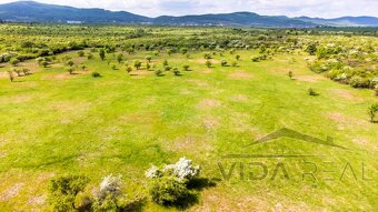 Pozemok v Modre s výmerou až 58.977 m2 - 7