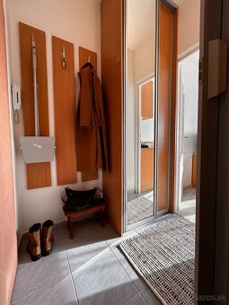 PET friendly útulná garsónka - 7