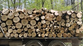 Palivové drevo s dovozom - 7