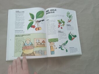 Renée Kayser: Priateľ lesa - 7