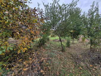 Na predaj 3 izbový rodinný dom v obci Bešeňov s 11 árovou zá - 7