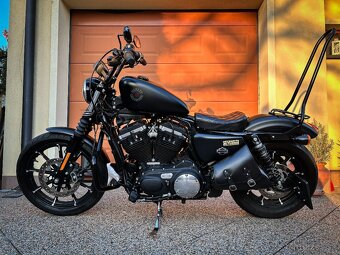 Harley Davidson Sportster Iron 883 , VP A2 - 7