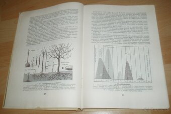 Štepenie, očkovanie a preštepovanie drevín - 7