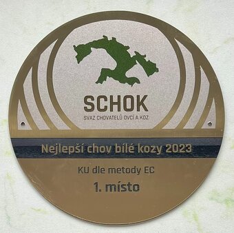 Česká bílá krátkosrstá koza. - 7