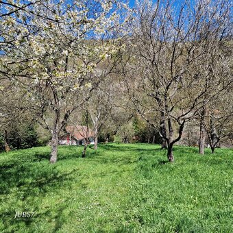 Veľký pozemok s domom a možnosťou výstavby – Hollóháza - 7