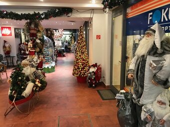 Ponúkame na prenájom obchodné priestory v centre v lukratívn - 7