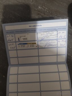 Nemecký ovčiak - 7