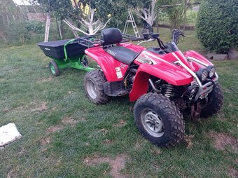 štvorkolka Yamaha WOLVERINE 4 x 4 - 7