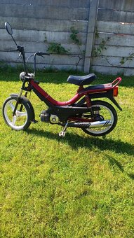 Korado - 7