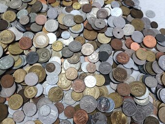 Mince 3.5kg lot5 - 7