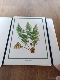 Staré školské pomôcky - 7