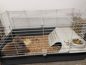 Klietka pre králika - 7
