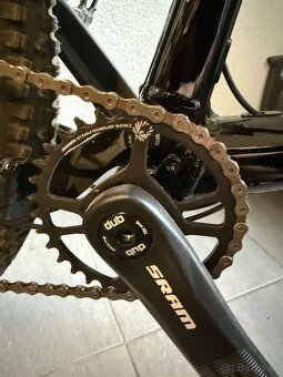 CTM skaut 2.0 2024 L - 7