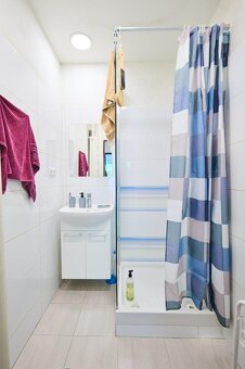 2 izbový byt v CENTRE- kompletná rekonštrukcia - 7