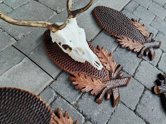 Podložky pod trofeje danielov, Jeleň - 7