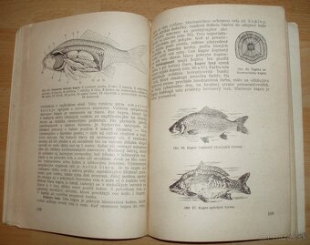 Zoológia pre 7. ročník všeobecnovzdelávacích škôl - 7