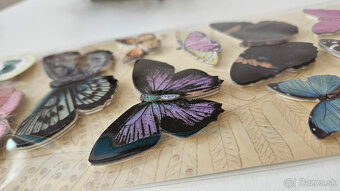 priestorové (3D) nálepky Motýľ, 2 balenia - 7