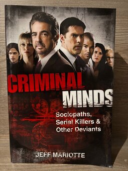🎬 Criminal Minds – Complete Seasons 1–13 (box set) - 7