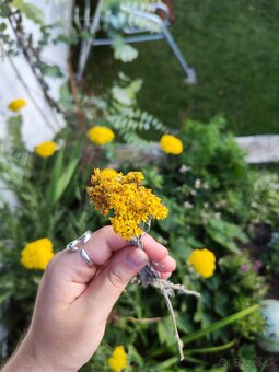 🌻Kytička sušených žltých slameničiek - 7
