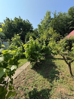 Chata pri rieke Váh Na Predaj. - 7