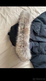 Canada Goose - 7
