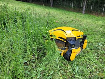 Čistenie pozemkov - 7