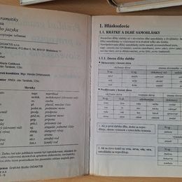 Učebnice SJ, RJ, NJ, matematika, slovníky - 7