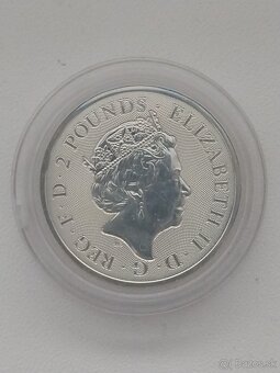 Strieborne investičné mince 1 OZ - 7