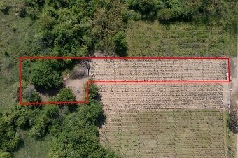 Na predaj vinica s pozemkom o výmere 720 m2 Streda nad Bodro - 7